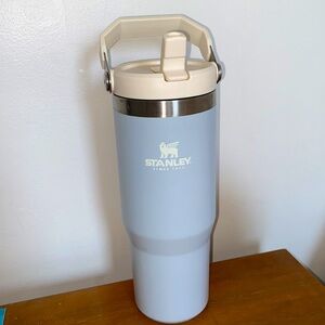 Baby Blue Stanley Iceflow Flip Straw Tumbler Cup